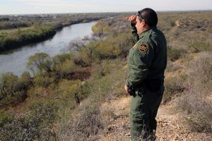 Border Patrol Agent Job Description: Salary, Skills, & More